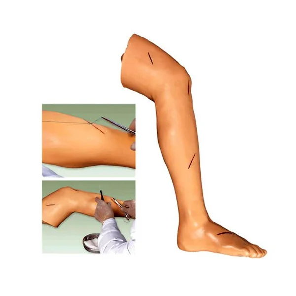 مولاژ سچور ( بخیه ) پا جهت آموزش بخیه