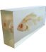 Fish Skeleton in Resin Model - Marine Biology & Anatomy Specimen