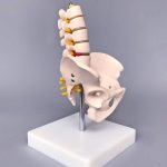 مولاژ مینی لگن با 5 مهره - Image 3