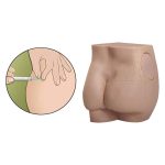 مولاژ تزریق عضلانی مقدماتی - Image 2