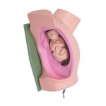 مولاژ چرخش جنین در هنگام زایمان