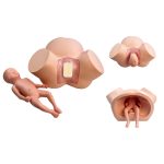 مولاژ زایمان طبیعی با روش وکیوم - Image 5