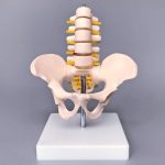 مولاژ مینی لگن با 5 مهره - Image 5