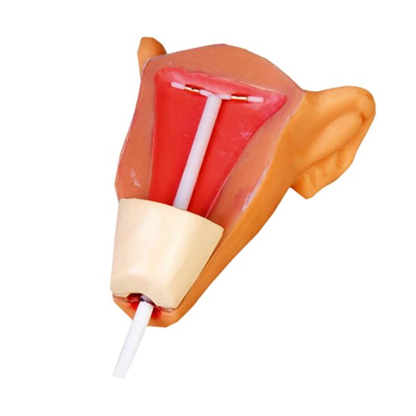 مولاژ آموزش IUD مدل B - مانکن پیشرفته آموزش آی یو دی گذاری | سدان مد