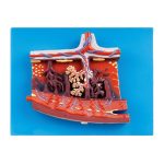 مولاژ مقطع جفت آناتومیک | ابزار آموزشی پزشکی و مامایی - Anatomical Placenta Model